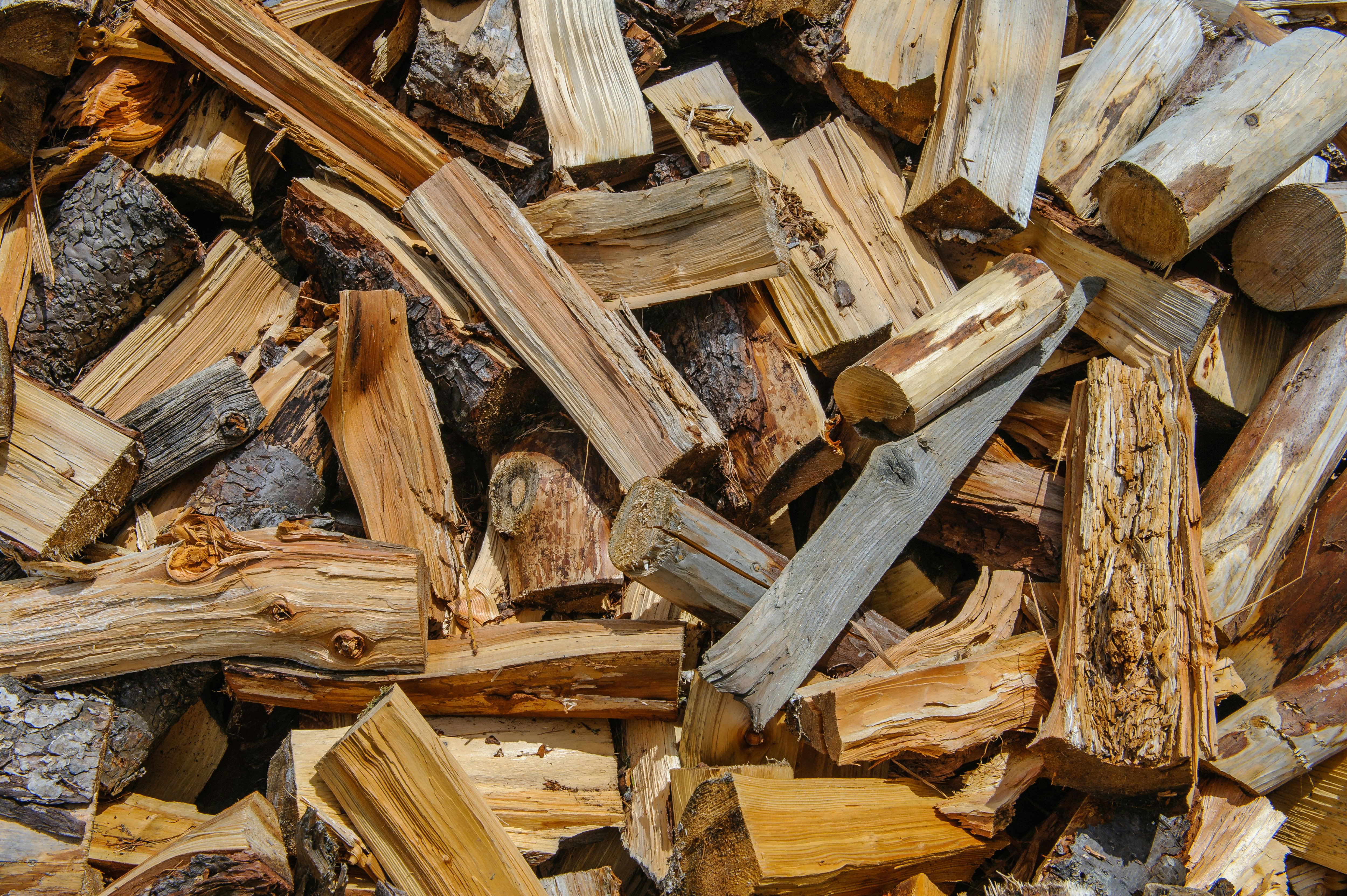 brown and gray wood logs